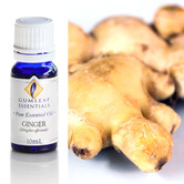 Gumleaf Essentials 10ml Ginger Essential Oil