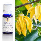 Gumleaf Essentials 10ml Ylang Ylang Complete Essential Oil