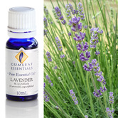 Gumleaf Essentials 10ml Lavender Bulgarian Essential Oil