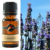 Gumleaf Fragrance 10ml Lavender Fragrance Oil