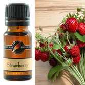 Gumleaf Fragrance 10ml Strawberry Fragrance Oil