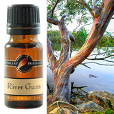 Gumleaf Fragrance 10ml River Gum Fragrance Oil