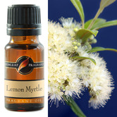 Gumleaf Fragrance 10ml Lemon Myrtle Fragrance Oil
