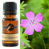 Gumleaf Fragrance 10ml Rose Geranium Fragrance Oil