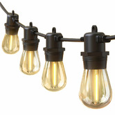 Everlit Warm White Outdoor Festoon String Lights
