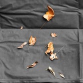 Worth Covering Black Divide Outdoor Sofa Cover