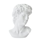 Lily &amp; The Cherry Tree Icarus Classical Male Bust