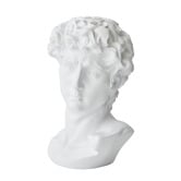 Lily &amp; The Cherry Tree Icarus Classical Male Bust