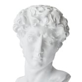Lily &amp; The Cherry Tree Icarus Classical Male Bust