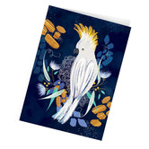 Diesel &amp; DUTCH Cockatoo Gift Card Box Set