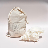 Ancient Candle Co Me Shell Coastal Soy-Blend Candle
