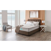 AH Beard A.H. Beard Commercial Aveline Pocket Coil Mattress