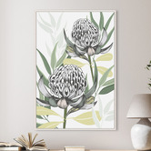 Vyve Fyre Design White Waratah I Printed Wall Art