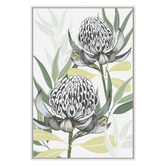 Vyve Fyre Design White Waratah I Printed Wall Art
