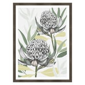 Vyve Fyre Design White Waratah I Printed Wall Art