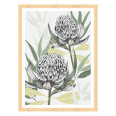 Vyve Fyre Design White Waratah I Printed Wall Art