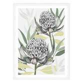 Vyve Fyre Design White Waratah I Printed Wall Art