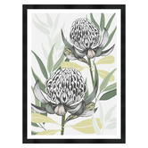 Vyve Fyre Design White Waratah I Printed Wall Art