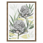 Vyve Fyre Design White Waratah I Printed Wall Art