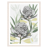 Vyve Fyre Design White Waratah I Printed Wall Art