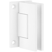 ADP Brass Shower Wall Hinge