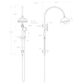 ADP Eternal Gooseneck Twin Shower