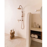 ADP Soul Gooseneck Twin Shower
