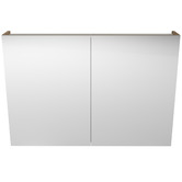 Timberline Tennessee 2 Door Shaving Cabinet