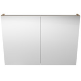 Timberline Tennessee 2 Door Shaving Cabinet