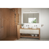 Timberline Tennessee 3 Door Shaving Cabinet