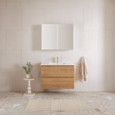 Timberline Elemental Plus 900mm Freestanding Single Vanity with Removable Kickboard