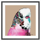 Art Prints Unique Budgie Printed Wall Art