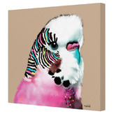 Art Prints Unique Budgie Printed Wall Art
