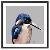 Art Prints Unique Kingfisher Bunch Printed Wall Art
