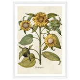 Art Prints Unique Sunflowers Printed Wall Art