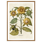 Art Prints Unique Sunflowers Printed Wall Art