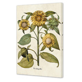 Art Prints Unique Sunflowers Printed Wall Art