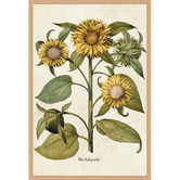 Art Prints Unique Sunflowers Printed Wall Art