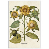 Art Prints Unique Sunflowers Printed Wall Art