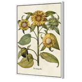 Art Prints Unique Sunflowers Printed Wall Art