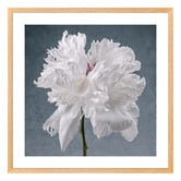Art Prints Unique Peony on Blue Printed Wall Art