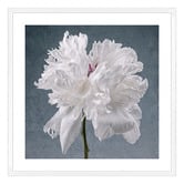 Art Prints Unique Peony on Blue Printed Wall Art