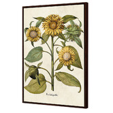Art Prints Unique Sunflowers Printed Wall Art