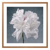 Art Prints Unique Peony on Blue Printed Wall Art