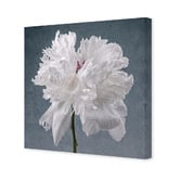 Art Prints Unique Peony on Blue Printed Wall Art