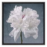 Art Prints Unique Peony on Blue Printed Wall Art