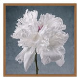 Art Prints Unique Peony on Blue Printed Wall Art