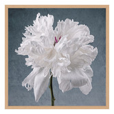 Art Prints Unique Peony on Blue Printed Wall Art