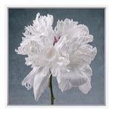 Art Prints Unique Peony on Blue Printed Wall Art