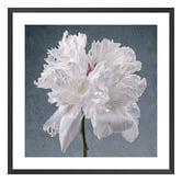 Art Prints Unique Peony on Blue Printed Wall Art